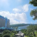 하이원 그랜드호텔 이미지