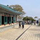 곰섬올레