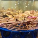 정은수산횟집 이미지