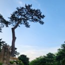 운촌삼거리 네이버블로그