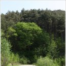 지리산둘레길 2코스 이미지