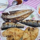 생선알탕 | 까치산 횟집 거북선 제철회 세꼬시 맛집에서 생선구이 알탕 먹고 온 후기 계란후라이 무한 서비스