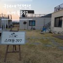 397 | 구례 애견 동반 펜션 스며들 397 독채 감성 숙소 내돈내산 솔직 후기