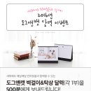 도그앤캣 이미지