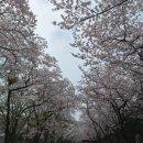 탄천 엑스파크공원 이미지