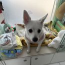 남문동물병원 이미지