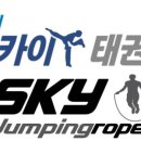 용인대스카이태권도 이미지