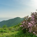 죽령 목장 이미지