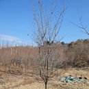 수양시장 이미지