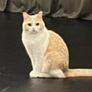 화곡로 63길 | 발산역요가, 등촌요가,강서구요가 아쉬토요가