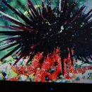 조수목장 이미지