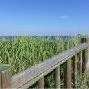 2025 성안올레 걷기 축제 | 25.5.10. 2025년 성안올레 걷기 축제