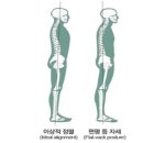 플랫우리 이미지