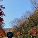 곤지암 리조트 이미지