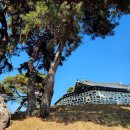 장군행정사사무소 이미지