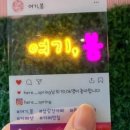 여기,봄