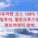 별빛약국 | 괌 자유여행 코스 100% 만족! 별빛투어, 돌핀크루즈부터 렌트카까지 완벽하게 즐기는 꿀팁 대방출
