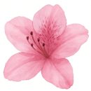 《꽃》으로 본 aidBER 고객여정 6단계