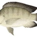 하대원스크린골프 이미지