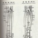 경희사암한의원 이미지
