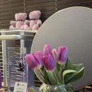 뮬피부과의원 이미지