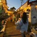 오늘이크리스마스라면 | [제주도] 크리스마스 트리 & 분위기 카페로 "오늘이 크리스마스라면 사진관 카페" 추천! 인생샷 남긴 후기