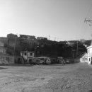 용호농장 이미지