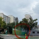 둔전체육공원 축구장 이미지