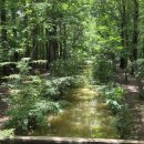 가을운동화빨래터 | 경북천년숲정원/경주산림환경연구원