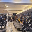 이지피티 이미지