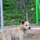 고봉이네 이미지