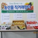 서영ENG