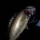 보성강8 이미지