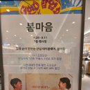 성심사 | 더현대대구 봄마음 팝업스토어 참여해주신 모든 분들께 진심으로 감사드립니다!🧡