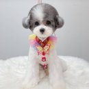 몽트라슈 이미지