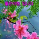 ❤半은 천국, 半은 지옥 (아름다운 꽃도 같은 종류만 모이면 질린다.) 이미지