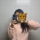 탑메드 | 에투메 콘서트 비범까지는낭만이지만 그 이후론 재난이야