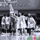 와동체육관 이미지