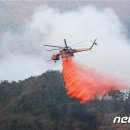 김삿갓면-45 이미지