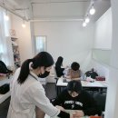 더 뷰티 독 이미지