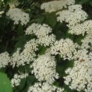 수림농장 이미지