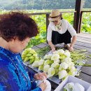 연화마을기업 이미지