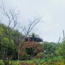 보은약수터 이미지