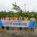 이루미농장 이미지