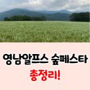 영남알프스 숲페스타 일정 총정리!
