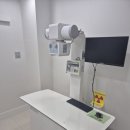 오디세이 동물심장내과 이미지