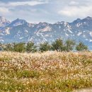 하늘전기 | 하늘공원 맹꽁이 전기차, 과연 돈값 할까? 291계단 대신 편하게! (현지인 솔직 후기 + 가격, 운행...