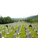 2025 현충원 참배 후기 이미지