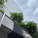 헬씨웰씨