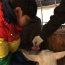 준영목장 이미지